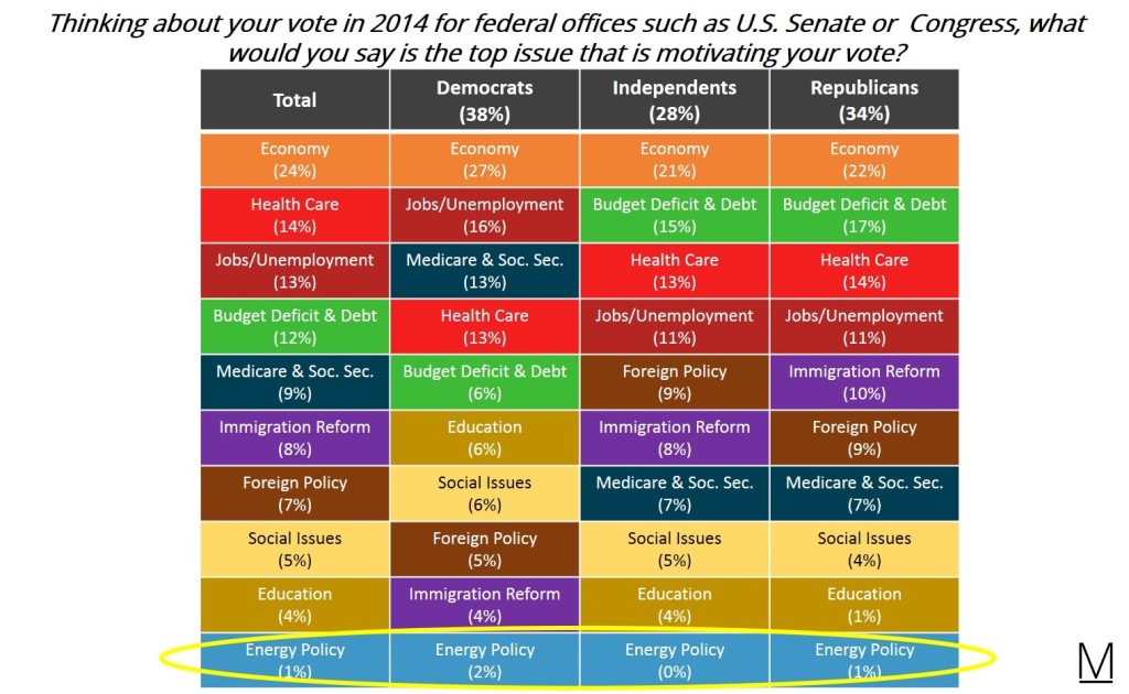 Energy policy poll